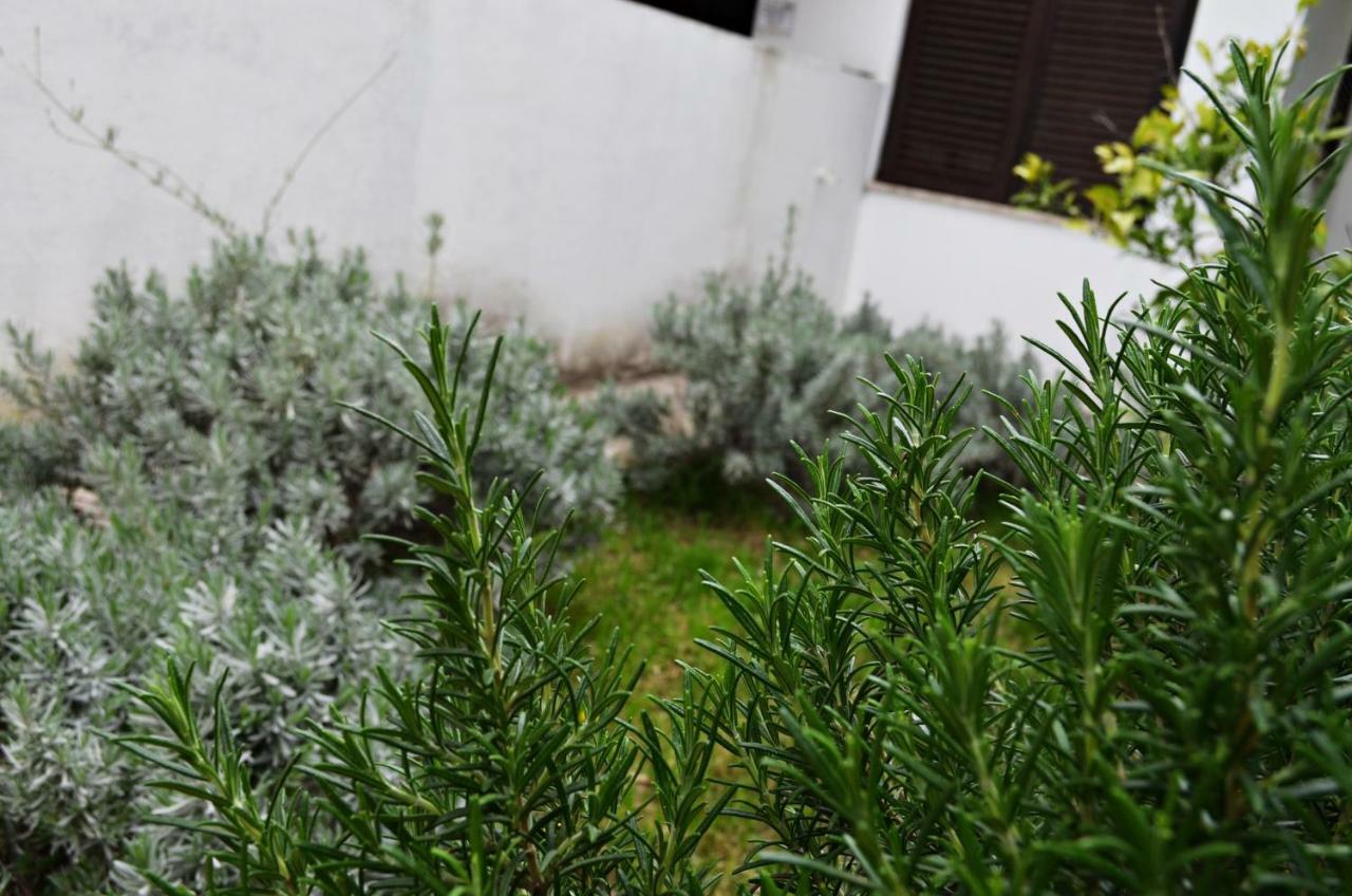 Apartman Roguljic Split Extérieur photo
